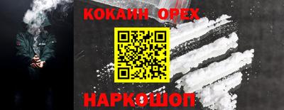 дмт Аргун