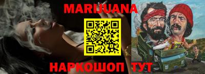 дмт Аргун