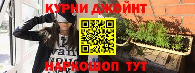 дмт Аргун