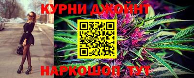 дмт Аргун