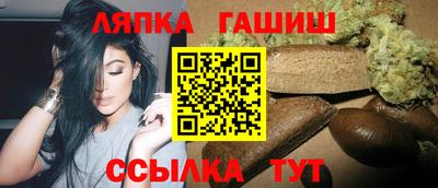 дмт Аргун