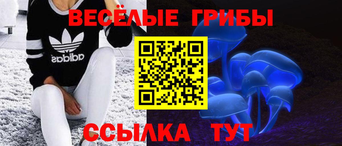 Белгород  купить наркотики сайты  Вход с VPN  Галлюциногенные грибы Cubensis  Галлюциногенные грибы прущие грибы 