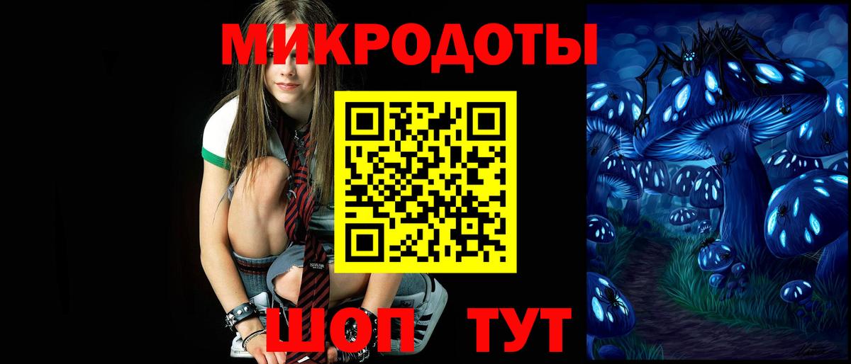 Галлюциногенные грибы Psilocybine cubensis Белгород